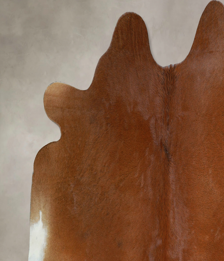 Solid Brown X-Large Brazilian Cowhide Rug 5'9"H x 7'3"W #A43935 by Hudson Hides