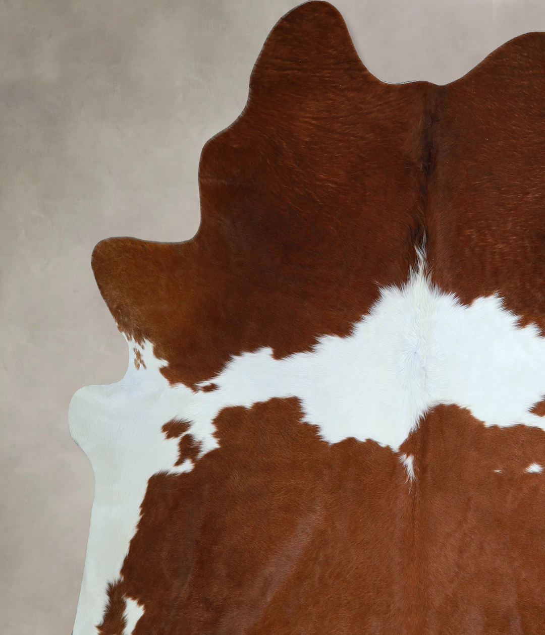 Brown and White XX-Large Brazilian Cowhide Rug 7'8"H x 6'11"W #A43943 
