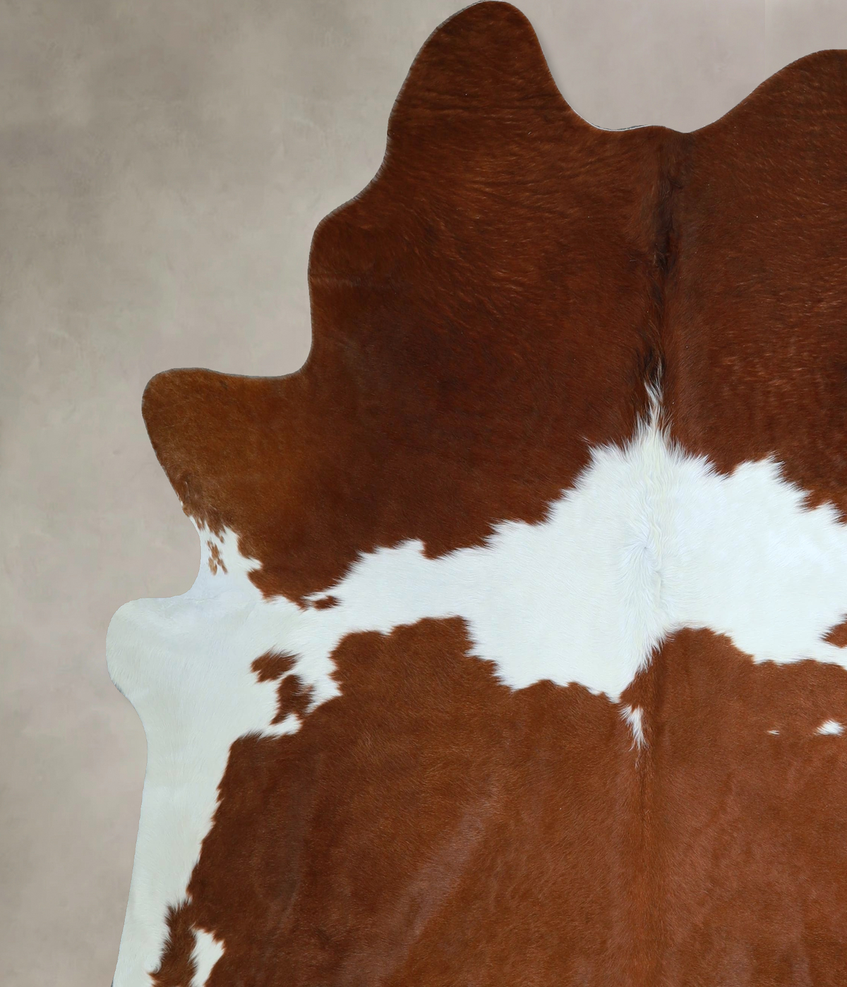 Brown and White XX-Large Brazilian Cowhide Rug 7'8"H x 6'11"W #A43943 by Hudson Hides