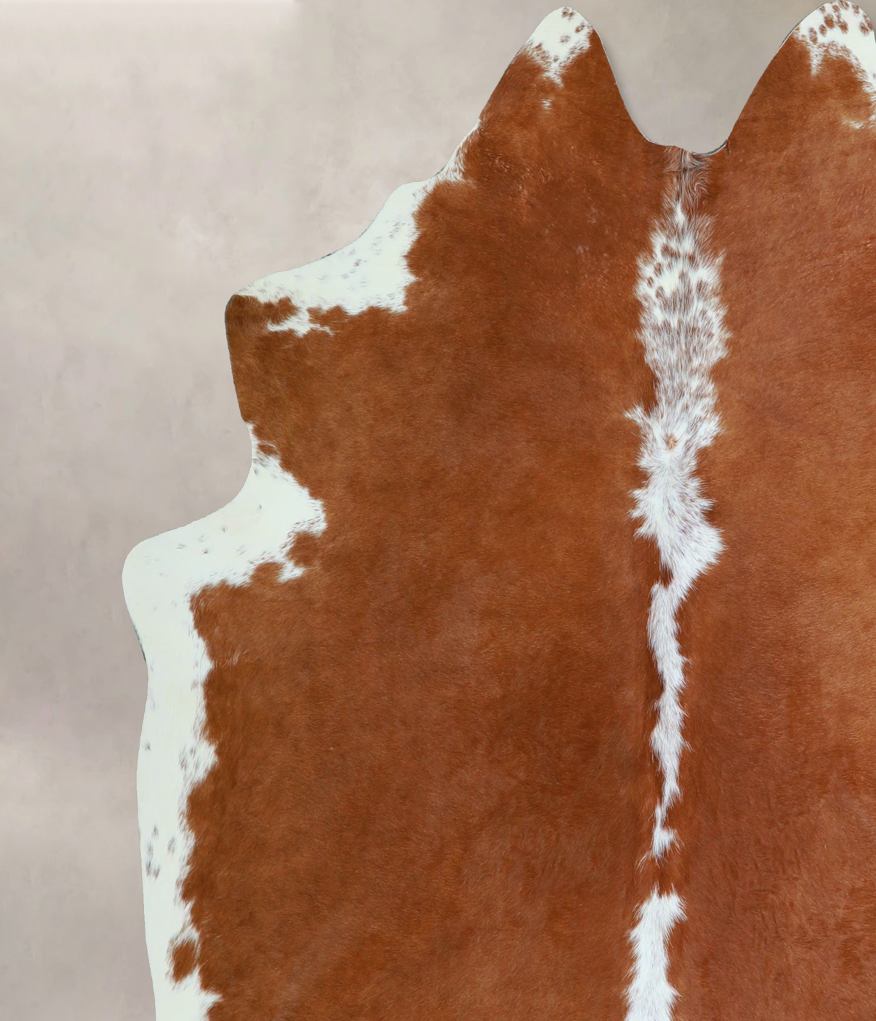 Brown and White Regular Cowhide Rug #A43947