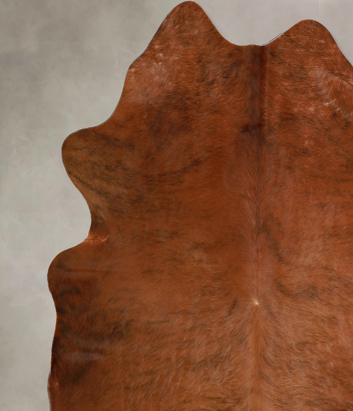 Medium Brindle X-Large Brazilian Cowhide Rug 6'9"H x 7'0"W #A43948 by Hudson Hides