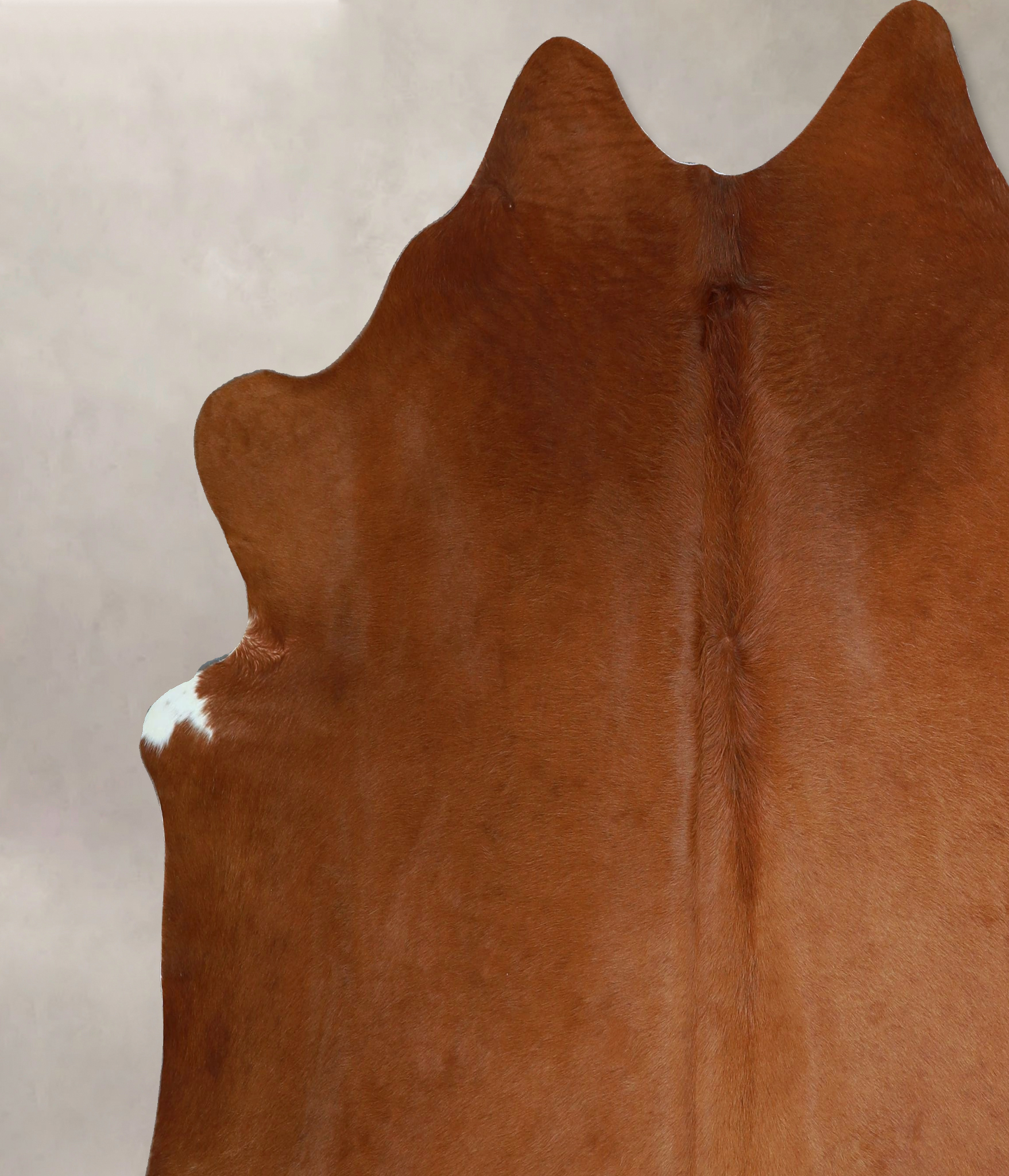 Solid Brown Cowhide Rug #A43949