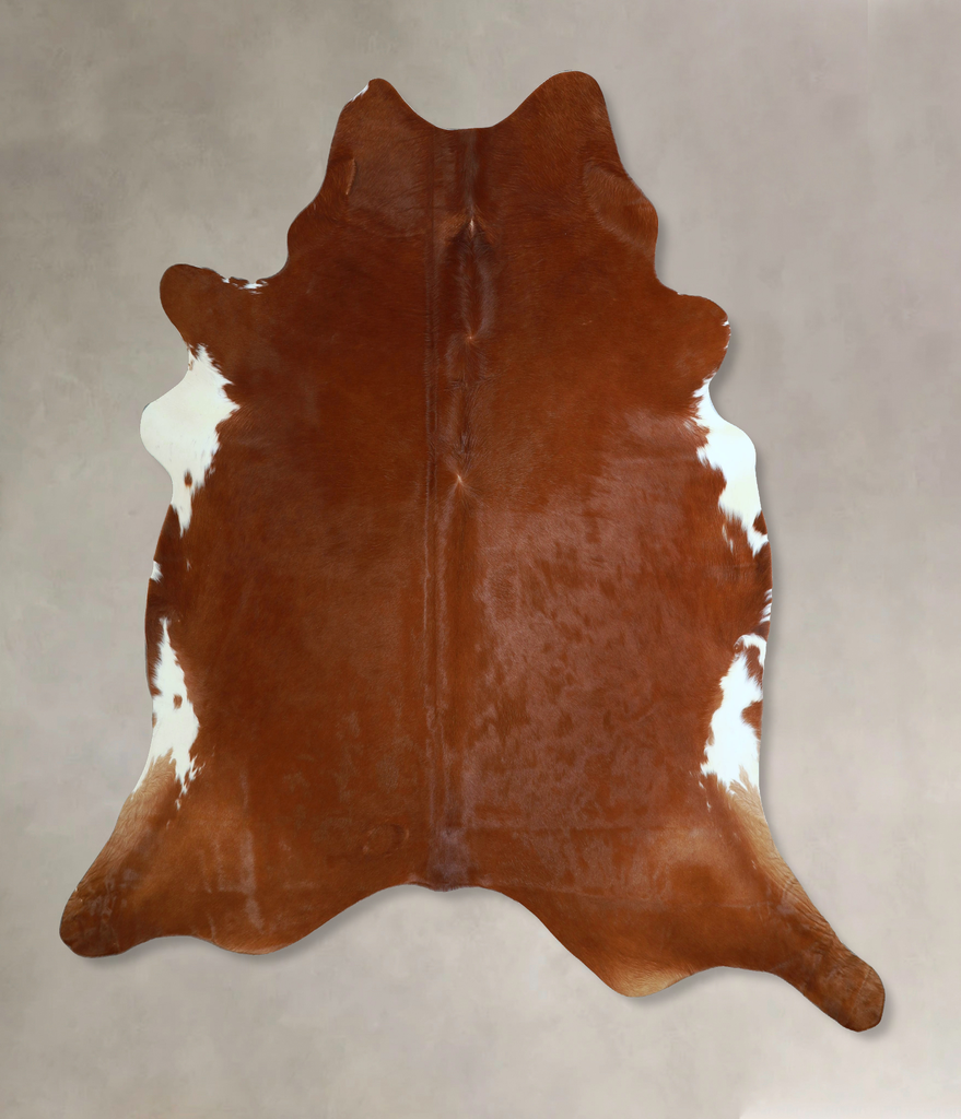 Solid Brown XX-Large Brazilian Cowhide Rug 7'4"H x 7'0"W #A43950 by Hudson Hides