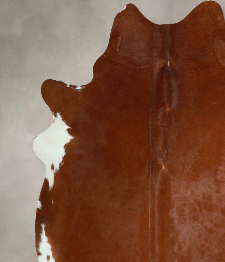 Solid Brown XX-Large Brazilian Cowhide Rug 7'4"H x 7'0"W #A43950 by Hudson Hides
