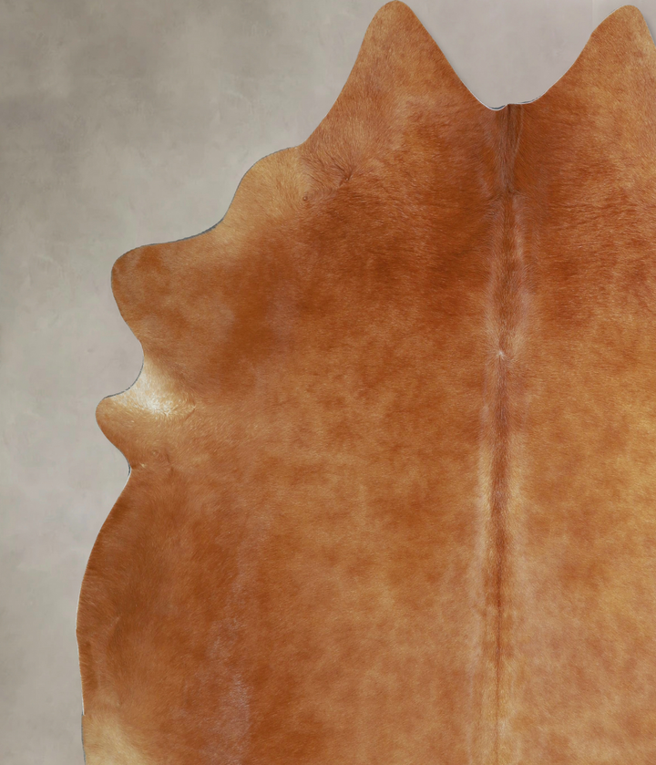 Solid Brown XX-Large Brazilian Cowhide Rug 7'9"H x 7'3"W #A43953 by Hudson Hides