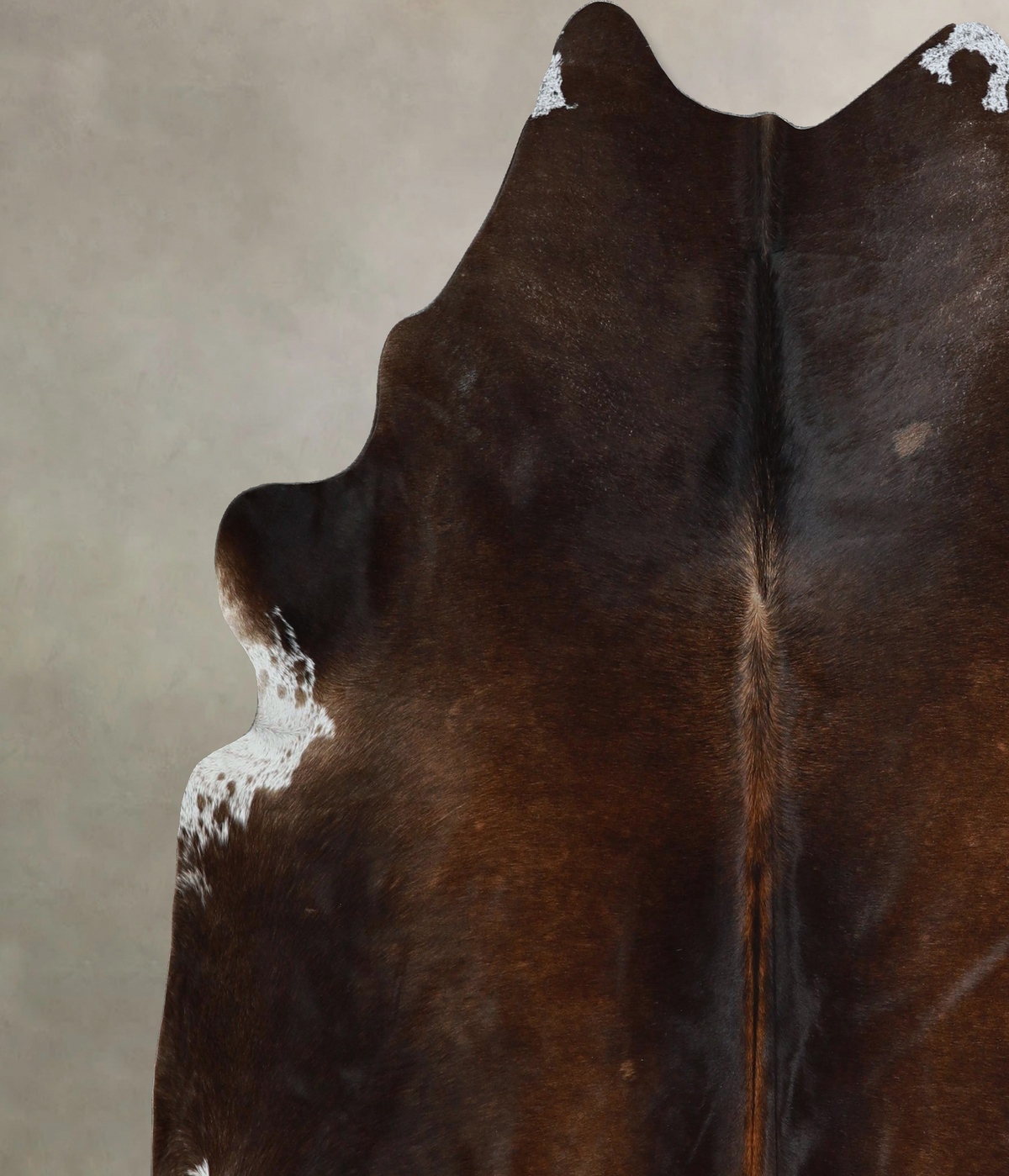 Chocolate X-Large Brazilian Cowhide Rug 6'11"H x 7'1"W #A43955 by Hudson Hides