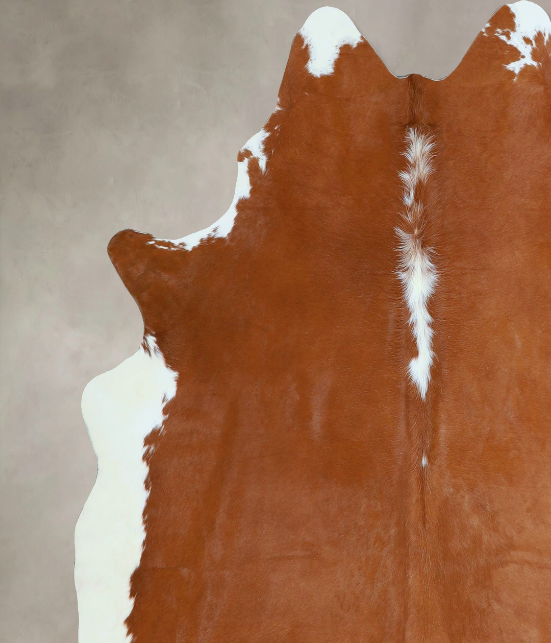 Hereford X-Large Brazilian Cowhide Rug 6'8"H x 6'1"W #A43969 by Hudson
