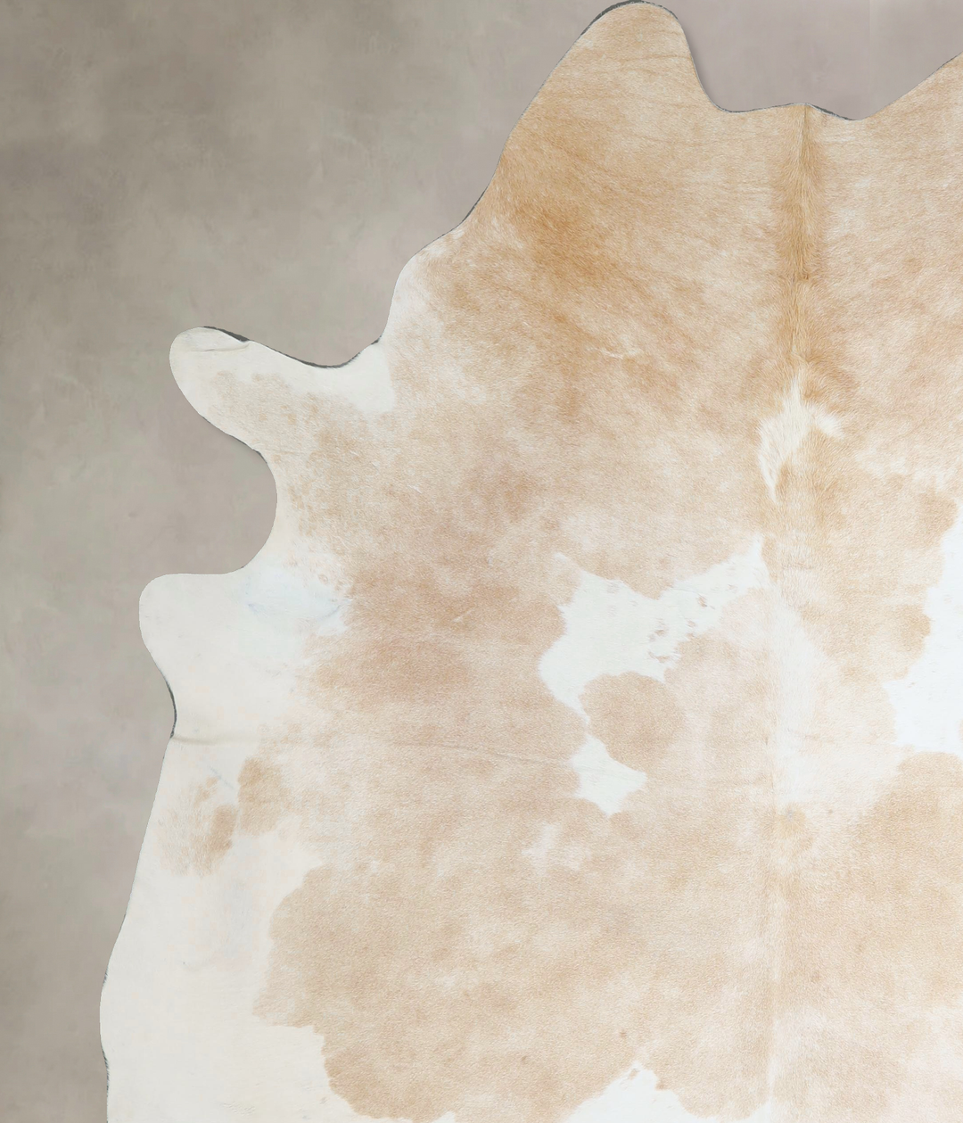 Beige and White XX-Large Brazilian Cowhide Rug 8'2"H x 6'9"W #A43979 b