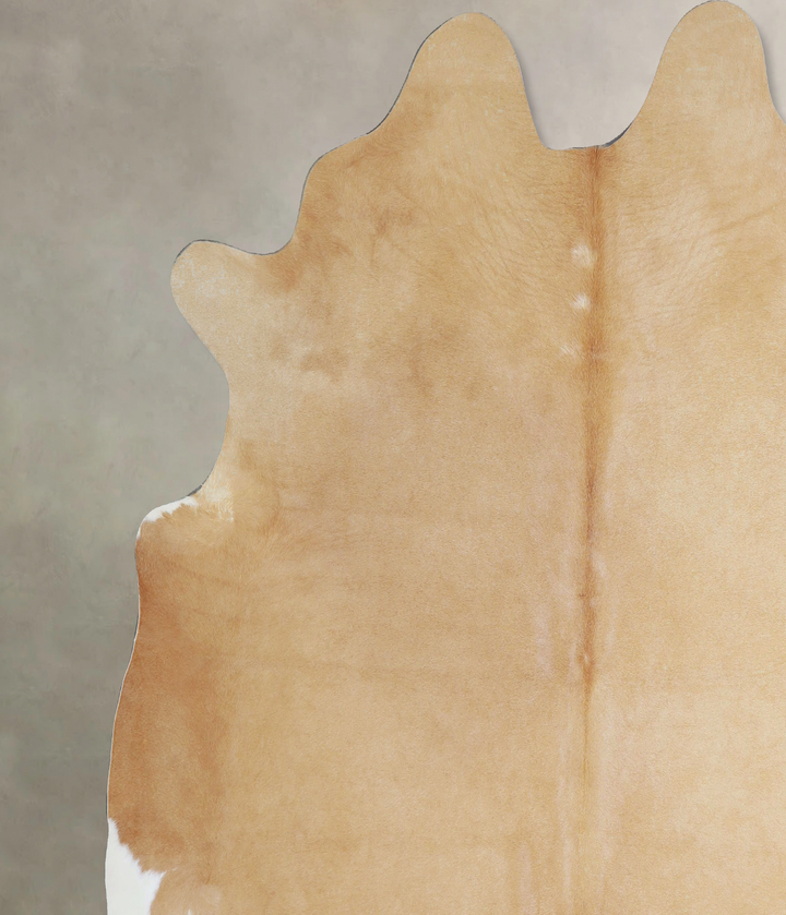 Palomino XX-Large Brazilian Cowhide Rug 7'7"H x 7'5"W #A43983 by Hudson Hides