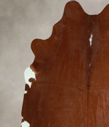 Brown and White Regular XX-Large Brazilian Cowhide Rug 7'7"H x 6'10"W #A43986 by Hudson Hides