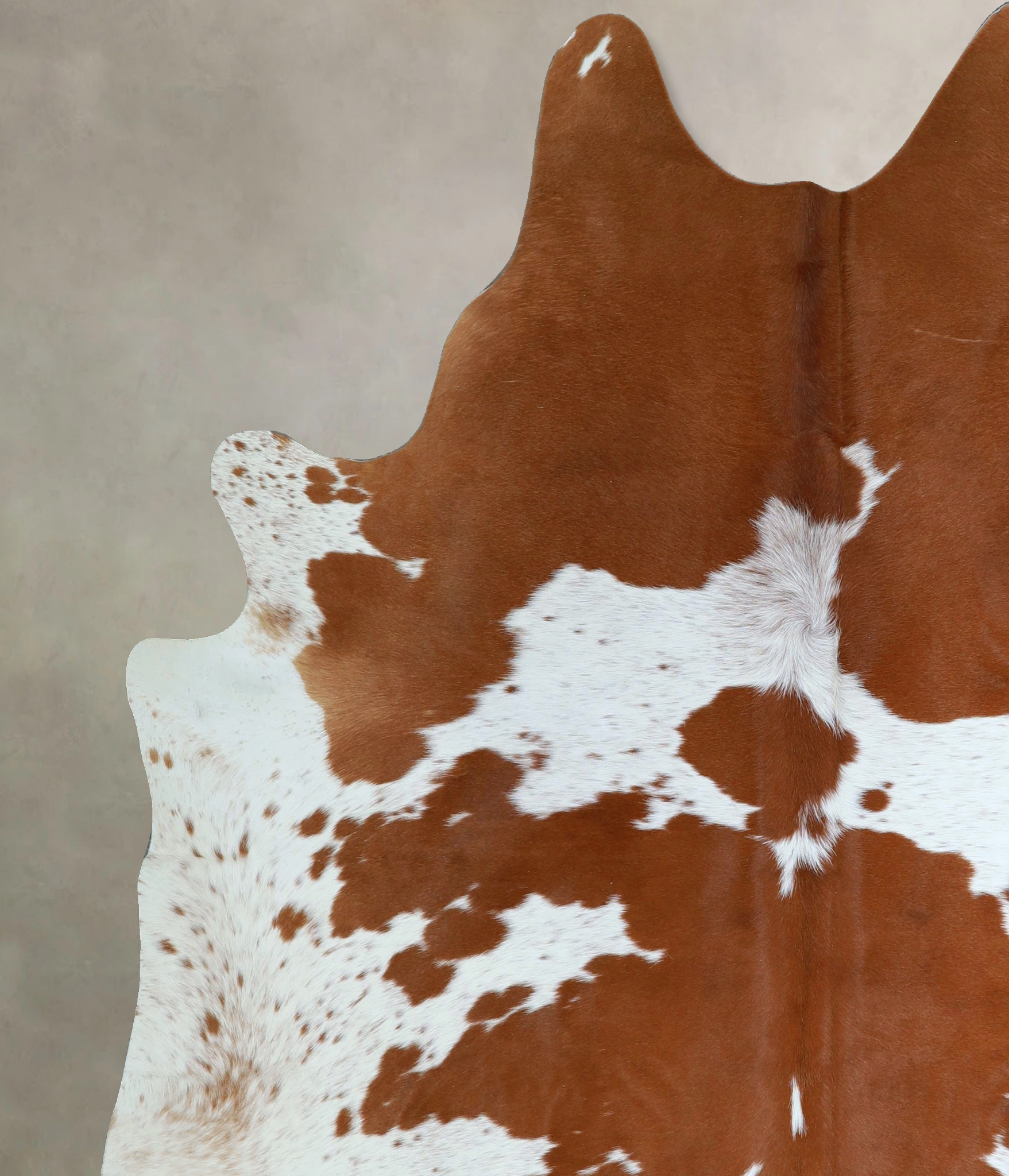 Brown and White Cowhide Rug #A43988