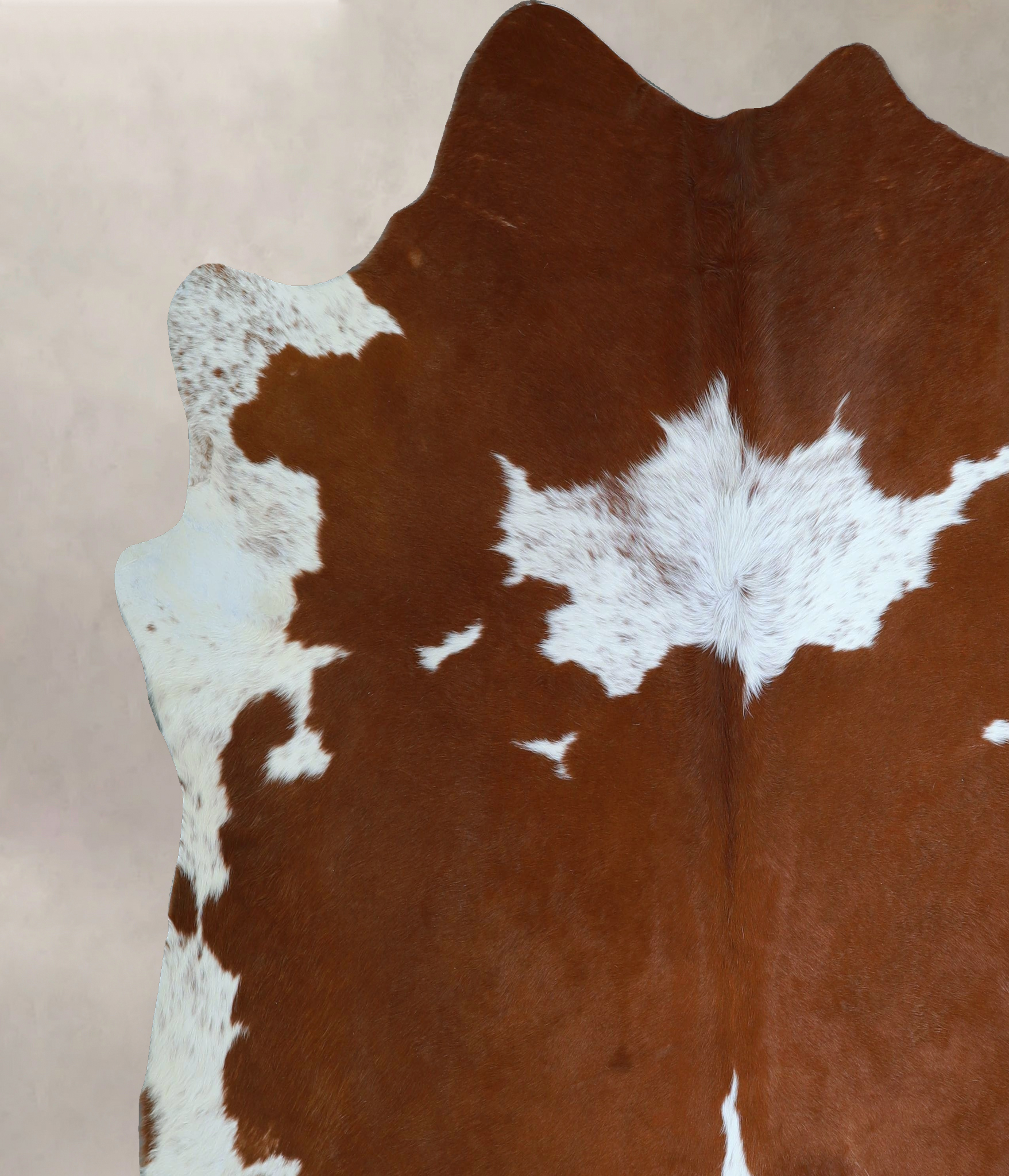 Brown and White Cowhide Rug #A43989