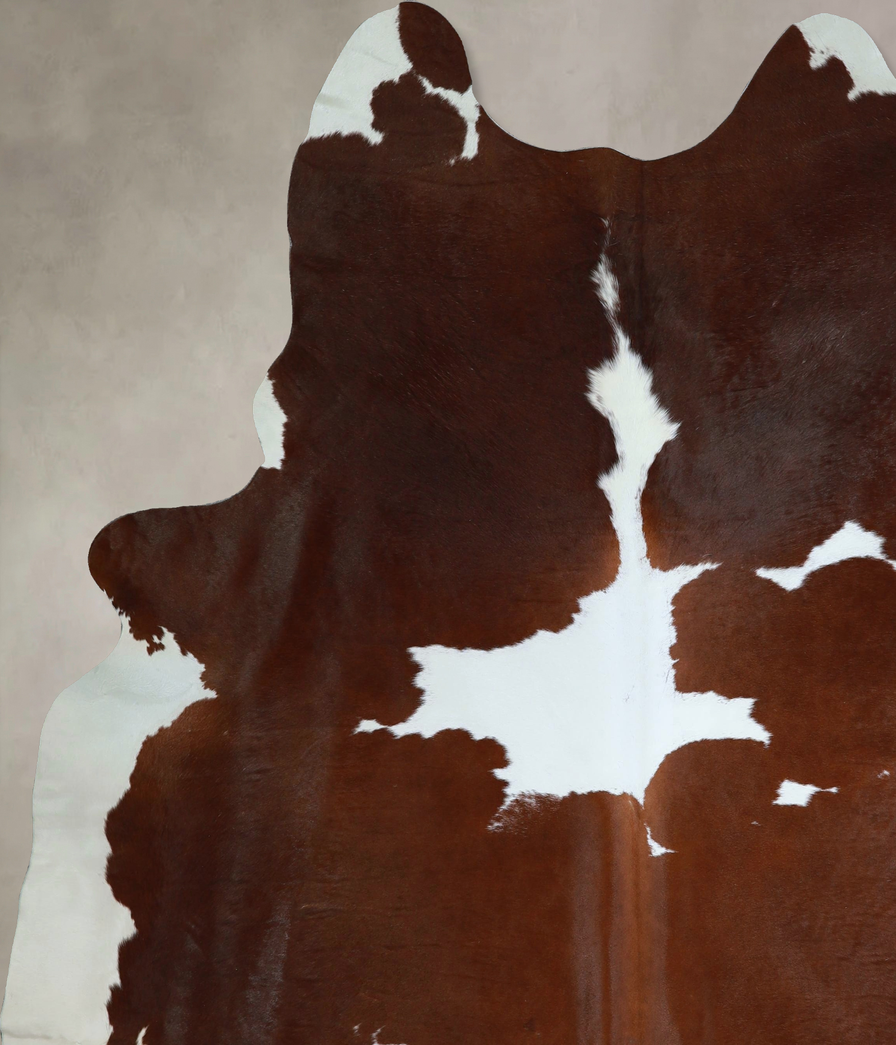 Brown and White Cowhide Rug #A43990
