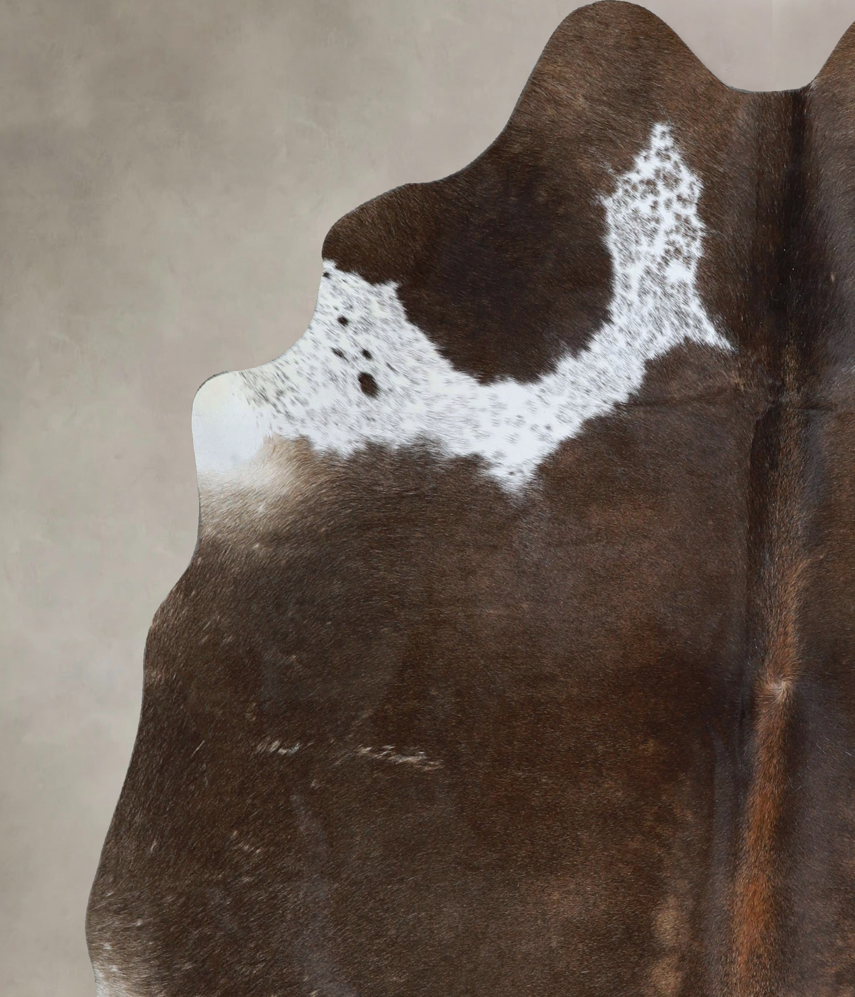 Chocolate and White Cowhide Rug #A44007