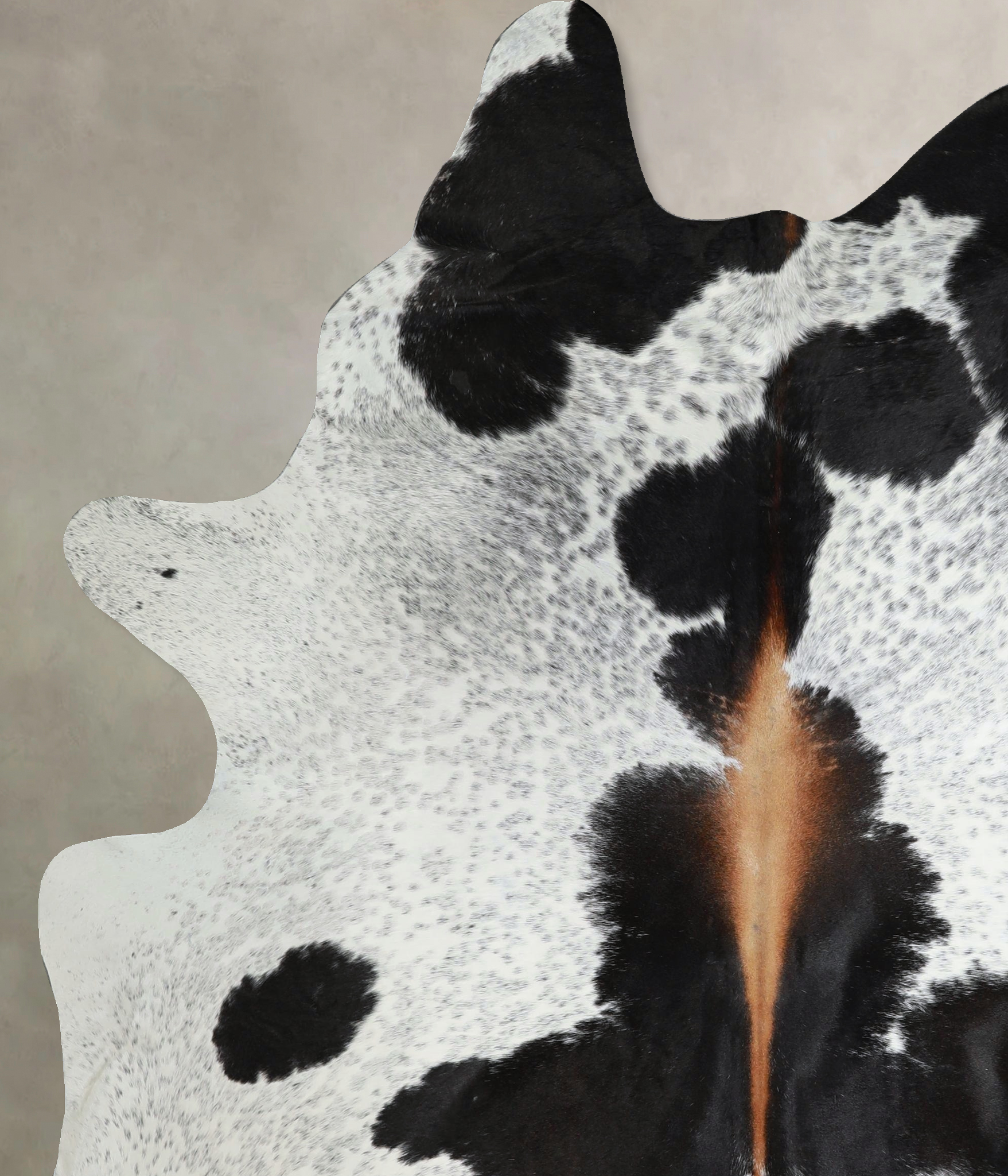 Chocolate and White Cowhide Rug #A44012