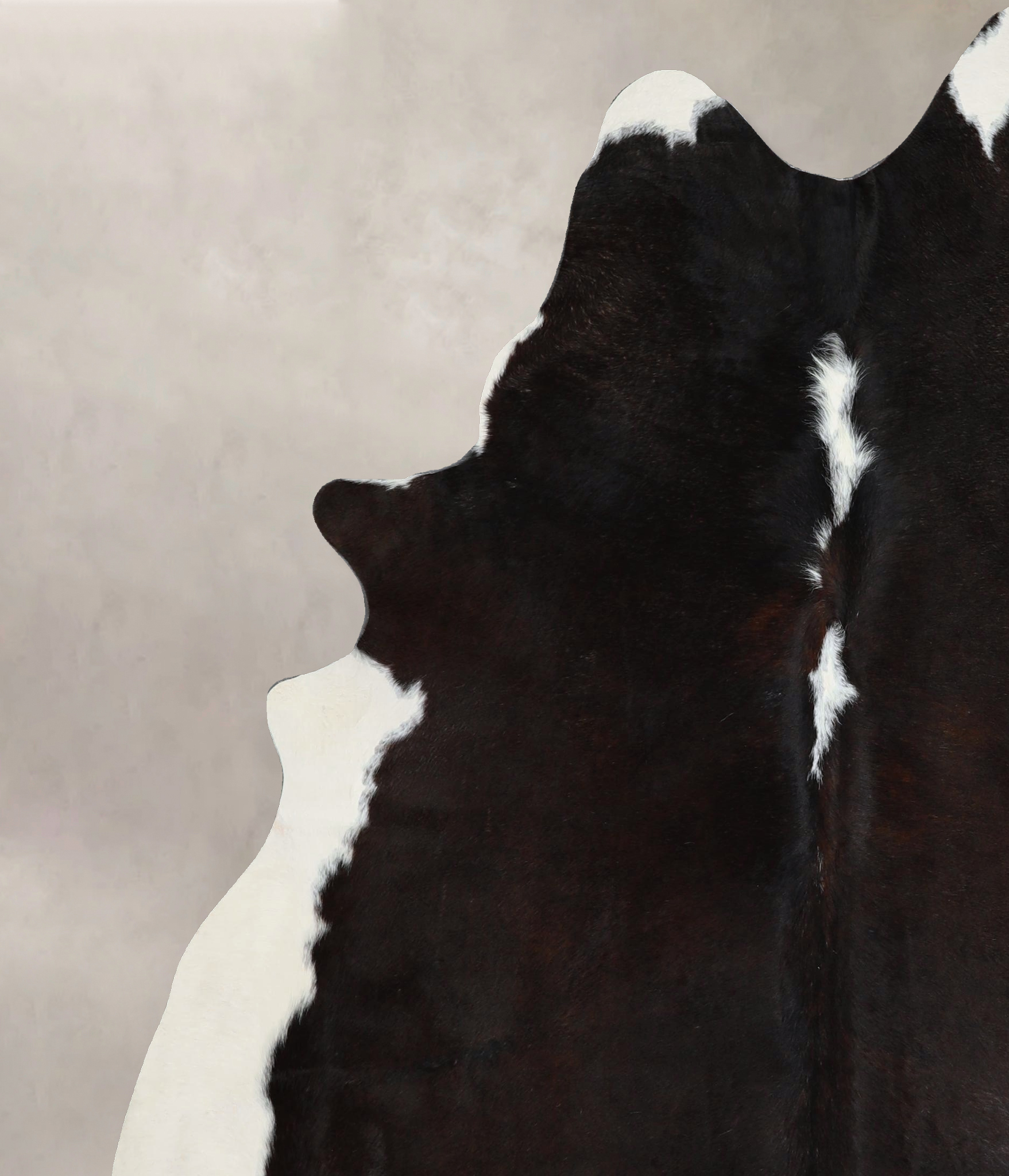 Chocolate and White Cowhide Rug #A44043