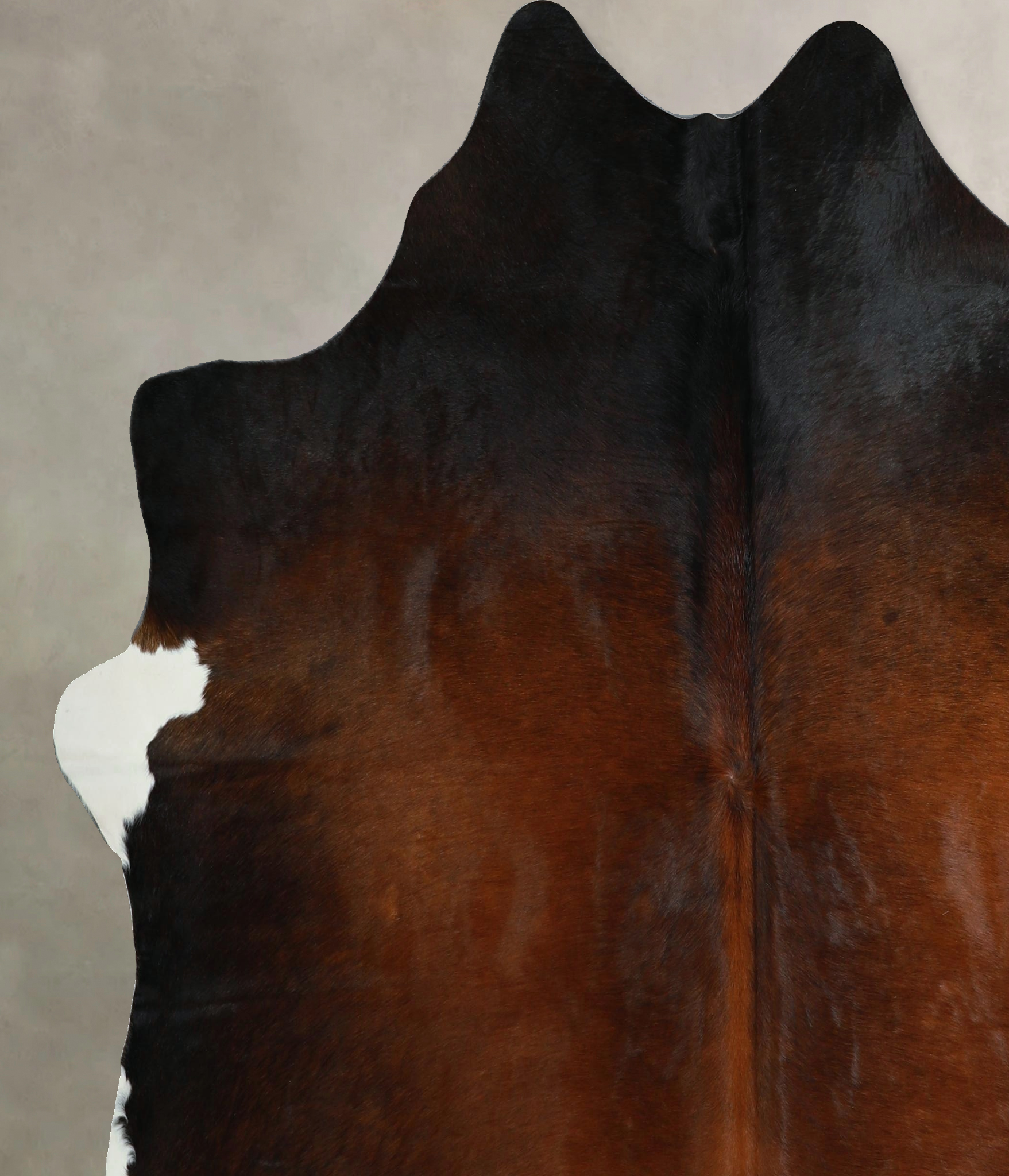 Chocolate and White Cowhide Rug #A44046