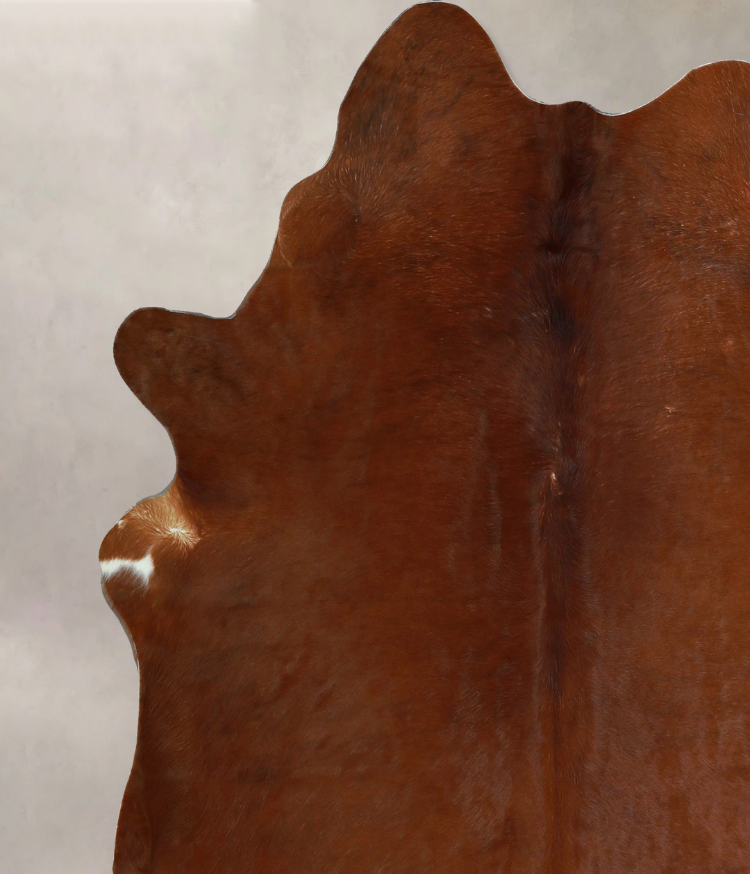 Solid Brown X-Large Brazilian Cowhide Rug 6'10"H x 6'4"W #A44111 by Hu