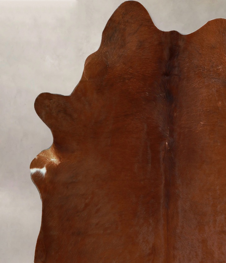 Solid Brown X-Large Brazilian Cowhide Rug 6'10"H x 6'4"W #A44111 by Hudson Hides