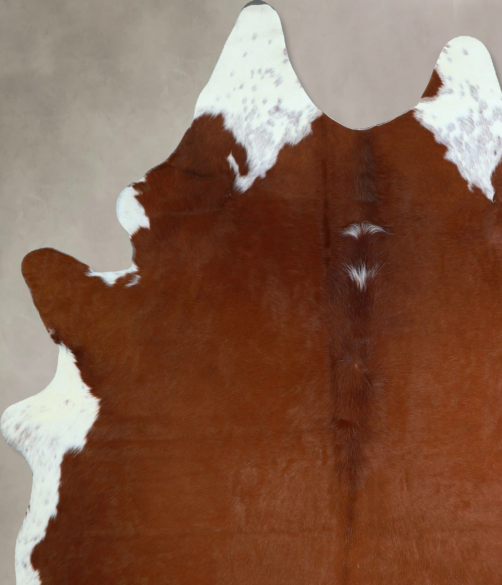 Brown and White Regular Cowhide Rug #A44114