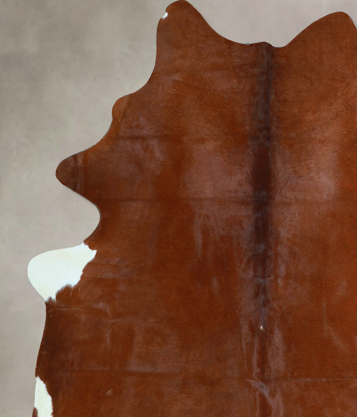 Solid Brown X-Large Brazilian Cowhide Rug 7'1"H x 5'10"W #A44115 by Hudson Hides