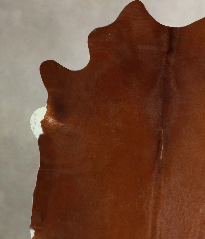 Solid Brown X-Large Brazilian Cowhide Rug 7'1"H x 6'4"W #A44118 by Hudson Hides