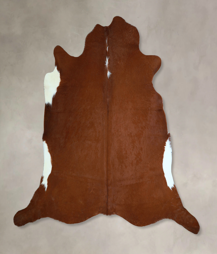 Brown and White Regular X-Large Brazilian Cowhide Rug 6'5"H x 7'10"W #A44119 by Hudson Hides