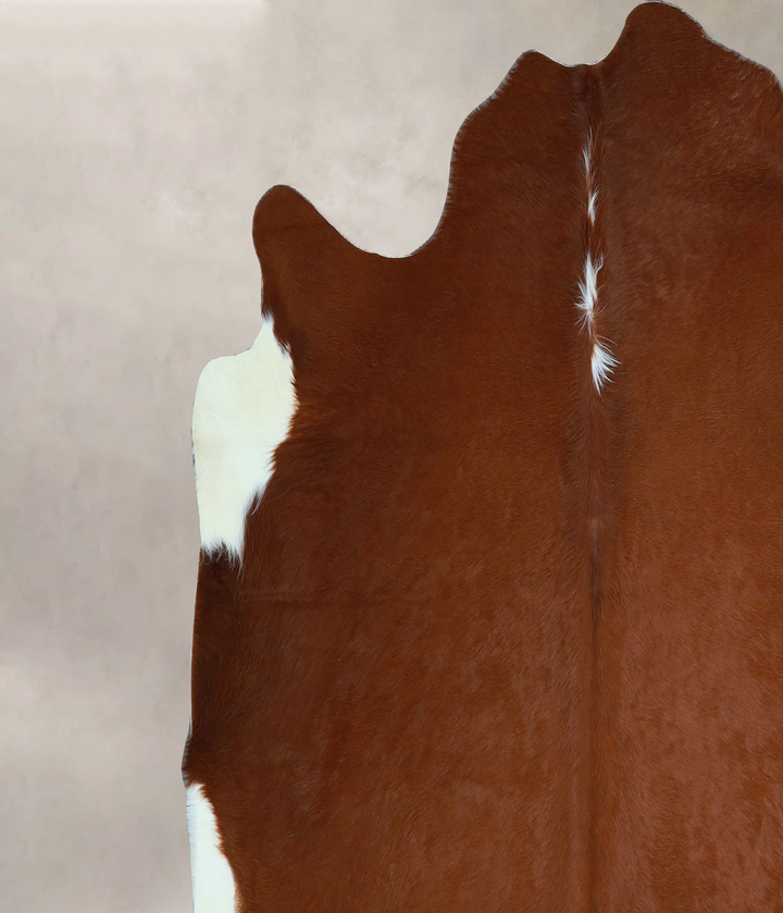 Brown and White Regular X-Large Brazilian Cowhide Rug 6'5"H x 7'10"W #A44119 by Hudson Hides
