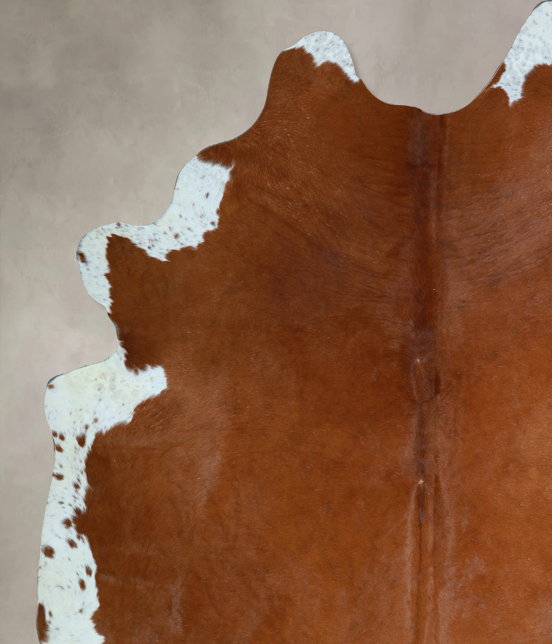 Brown and White Regular Cowhide Rug #A44134