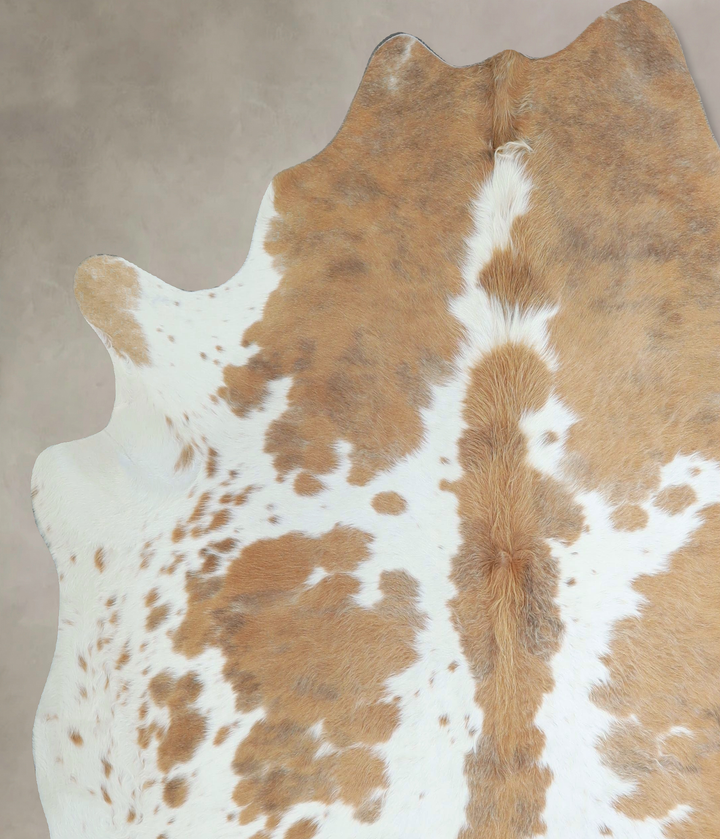 Beige and White X-Large Brazilian Cowhide Rug 6'7"H x 6'8"W #A44139 by Hudson Hides