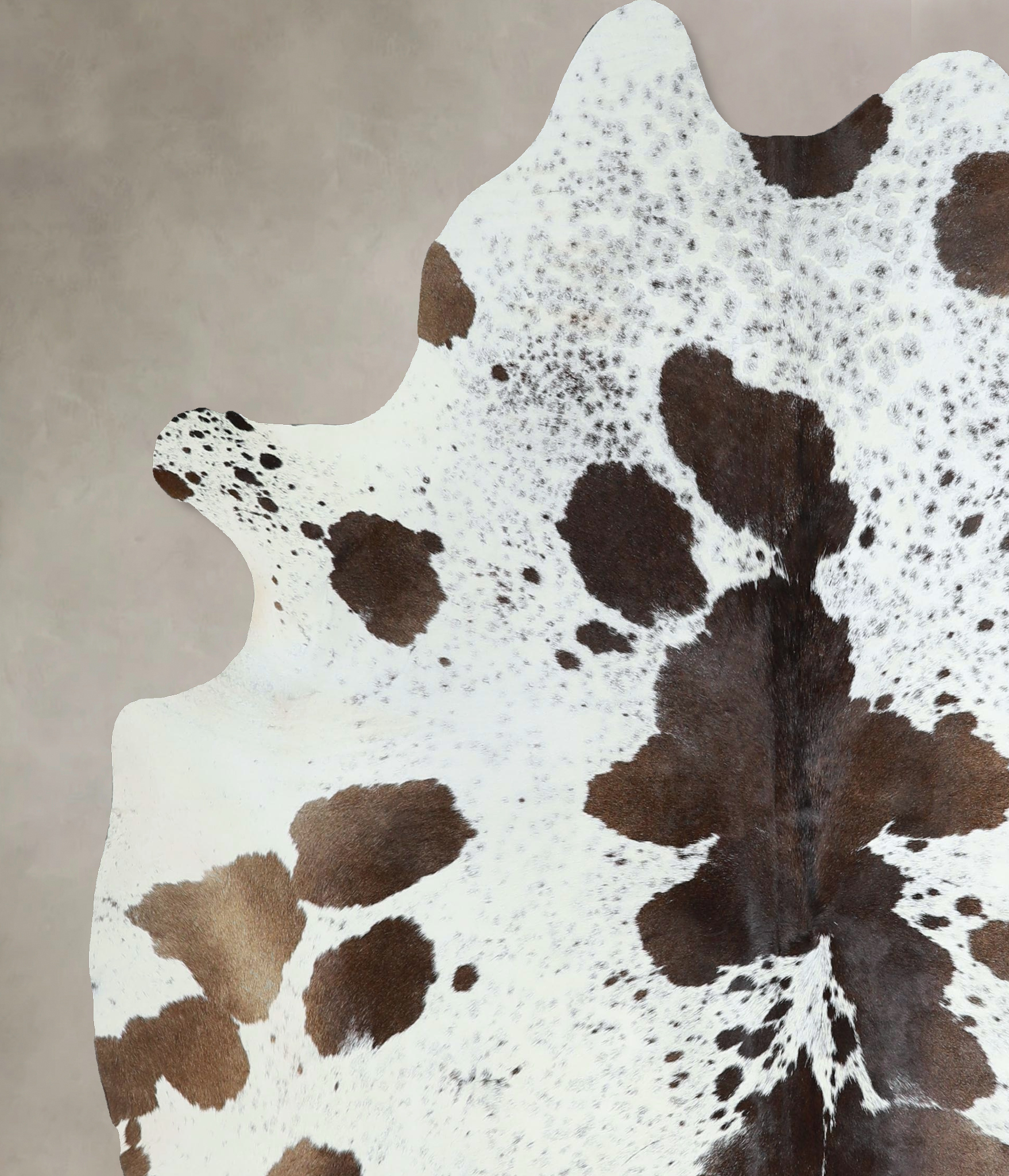 Chocolate and White Cowhide Rug #A44150