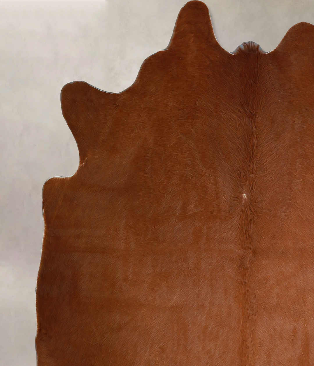 Solid Brown X-Large Brazilian Cowhide Rug 6'10"H x 6'2"W #A44265 by Hu