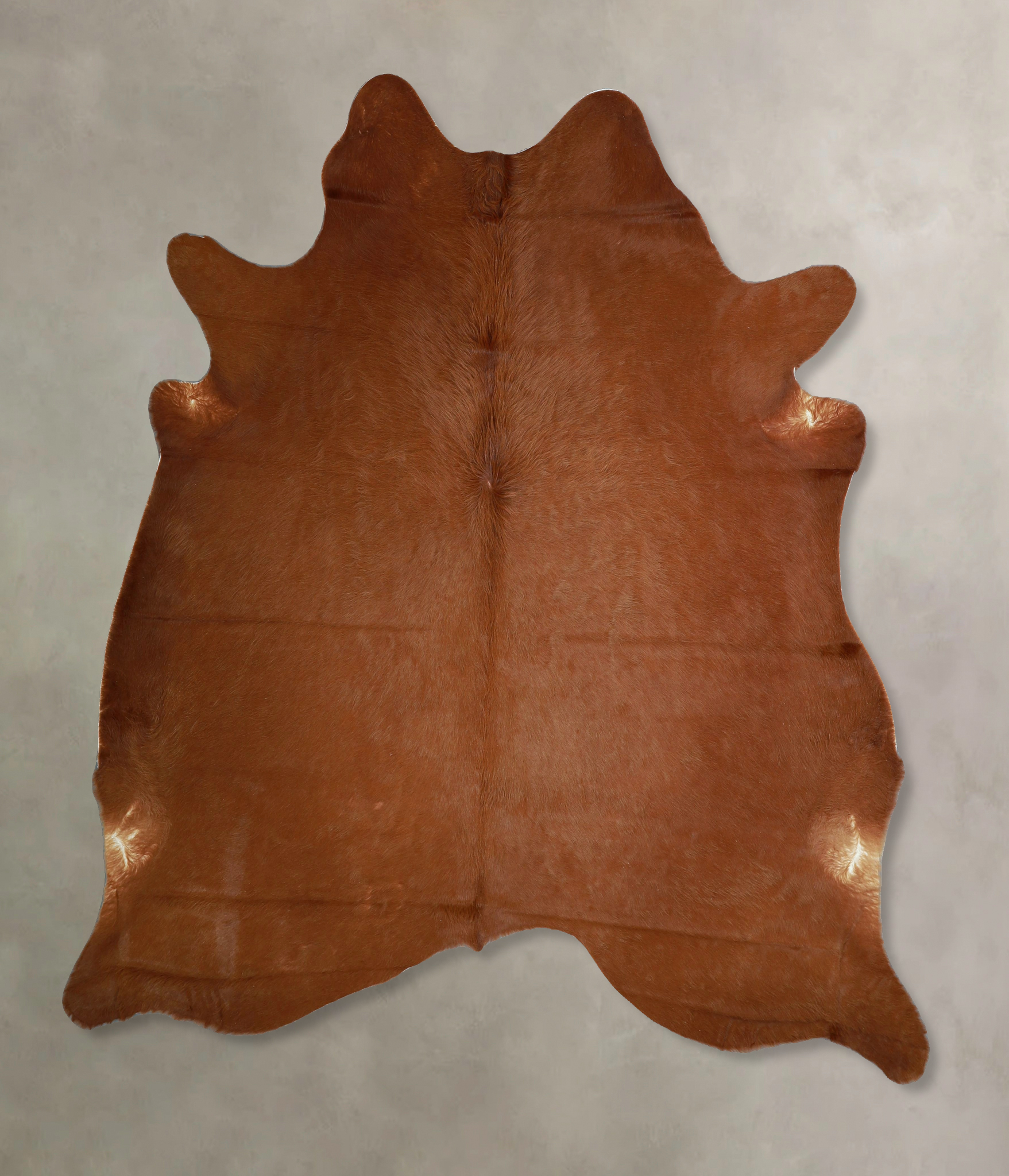 Solid Brown Cowhide Rug #A44267