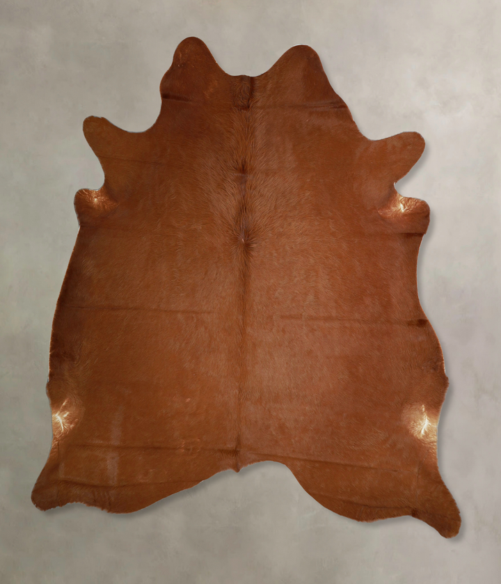 Solid Brown X-Large Brazilian Cowhide Rug 6'7"H x 6'4"W #A44267 by Hudson Hides