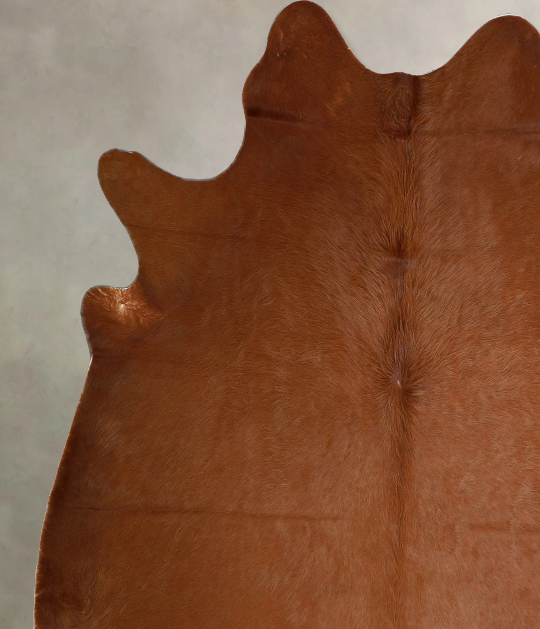 Solid Brown X-Large Brazilian Cowhide Rug 6'7"H x 6'4"W #A44267 by Hud