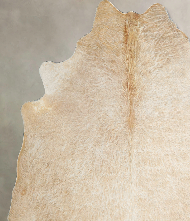 Palomino X-Large Brazilian Cowhide Rug 6'7"H x 6'10"W #A44269 by Hudson Hides