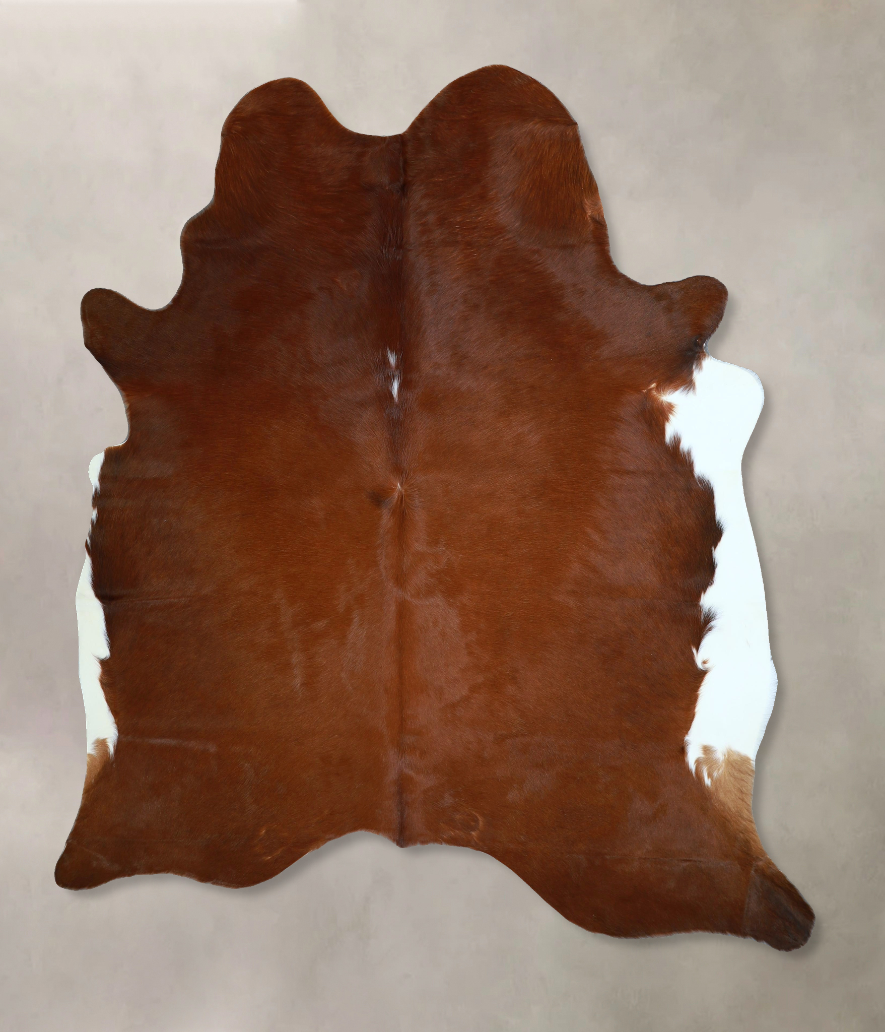 Brown and White Regular Cowhide Rug #A44270