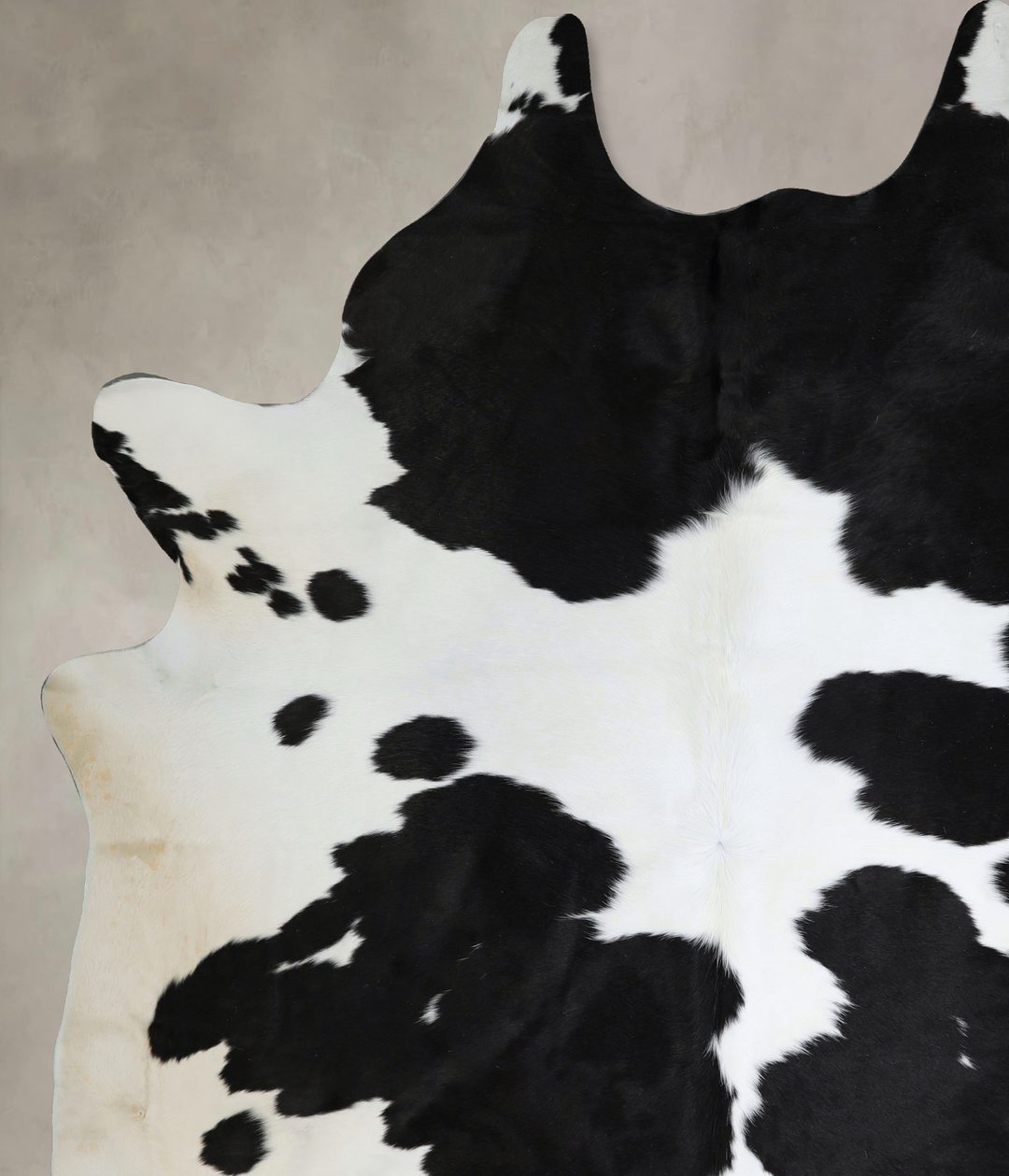 Black and White XX-Large Brazilian Cowhide Rug 9'1"H x 7'4"W #A44287 b
