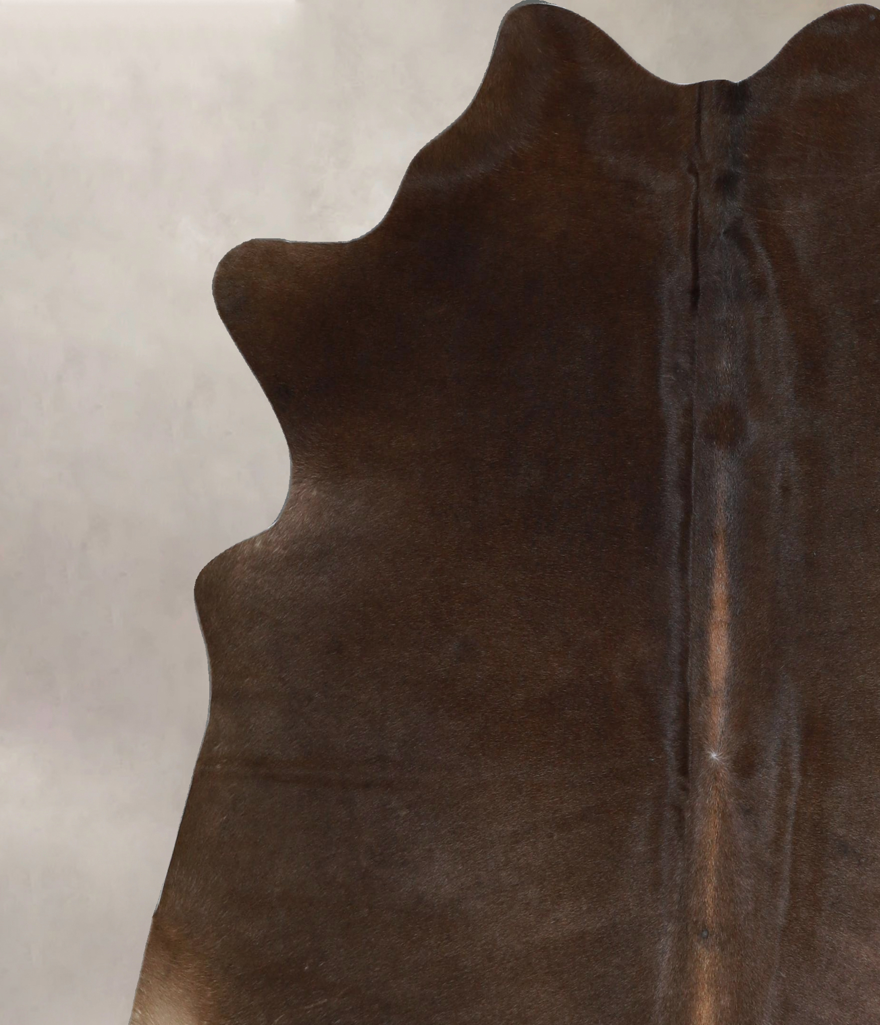 Chocolate Cowhide Rug #A44294