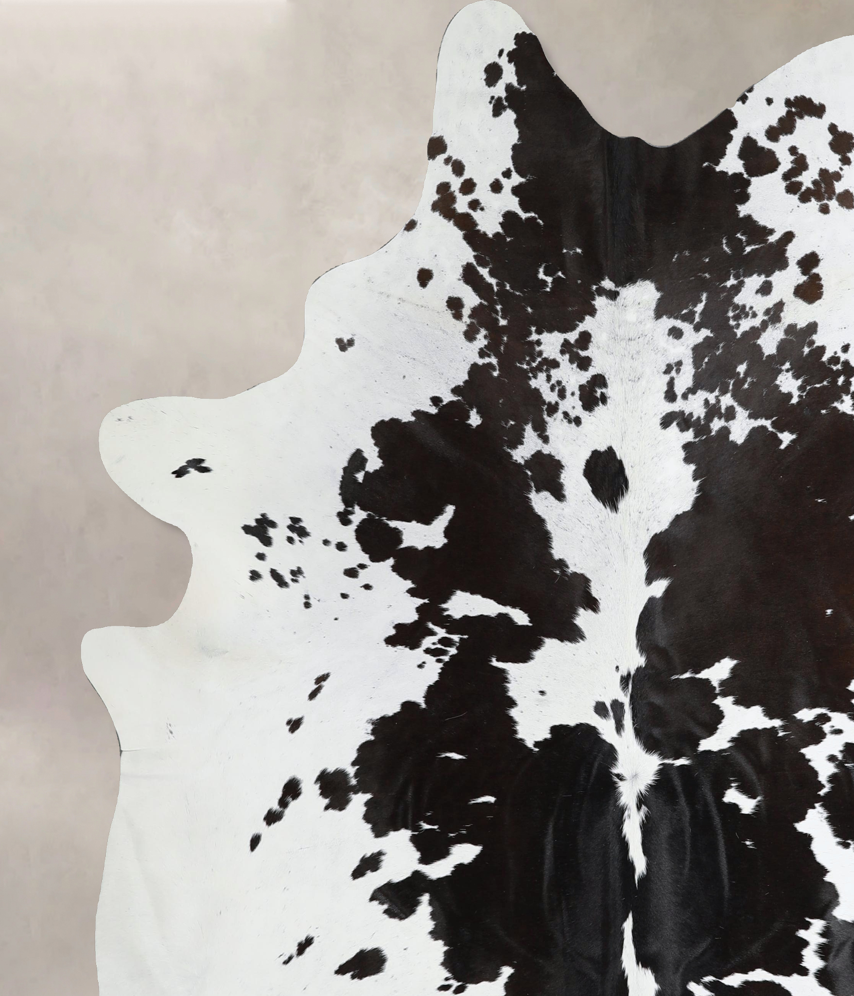 Chocolate and White Cowhide Rug #A44299