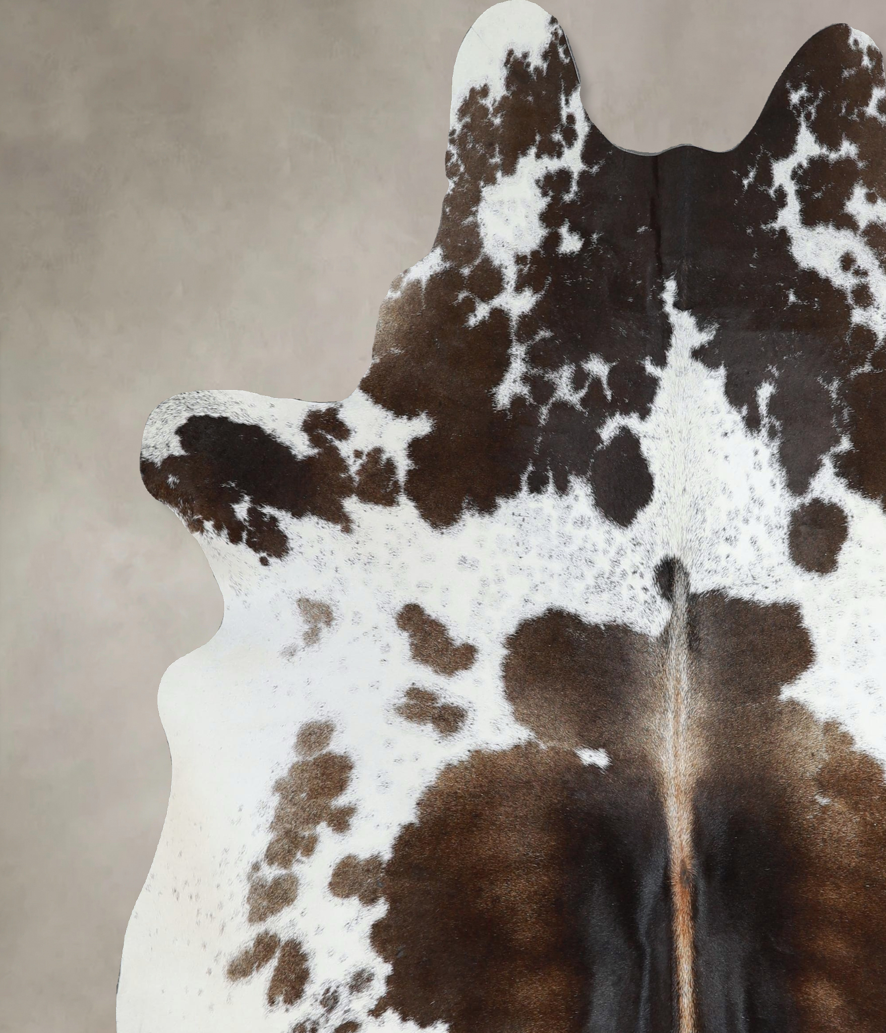 Chocolate and White Cowhide Rug #A44310