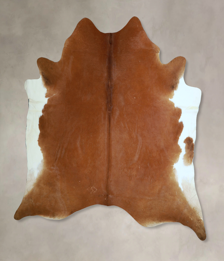 Solid Brown XX-Large Brazilian Cowhide Rug 7'10"H x 7'4"W #A44331 by Hudson Hides