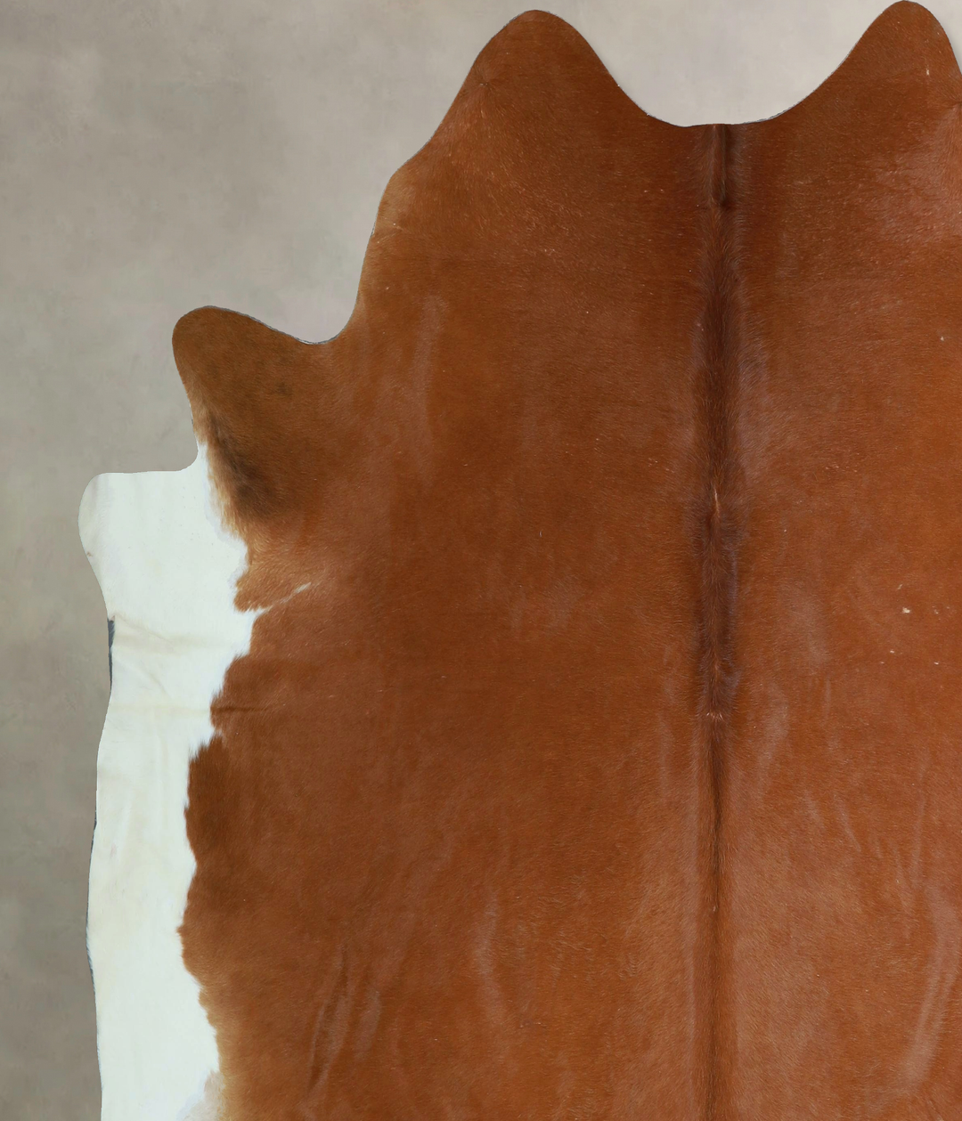 Solid Brown XX-Large Brazilian Cowhide Rug 7'10"H x 7'4"W #A44331 by H