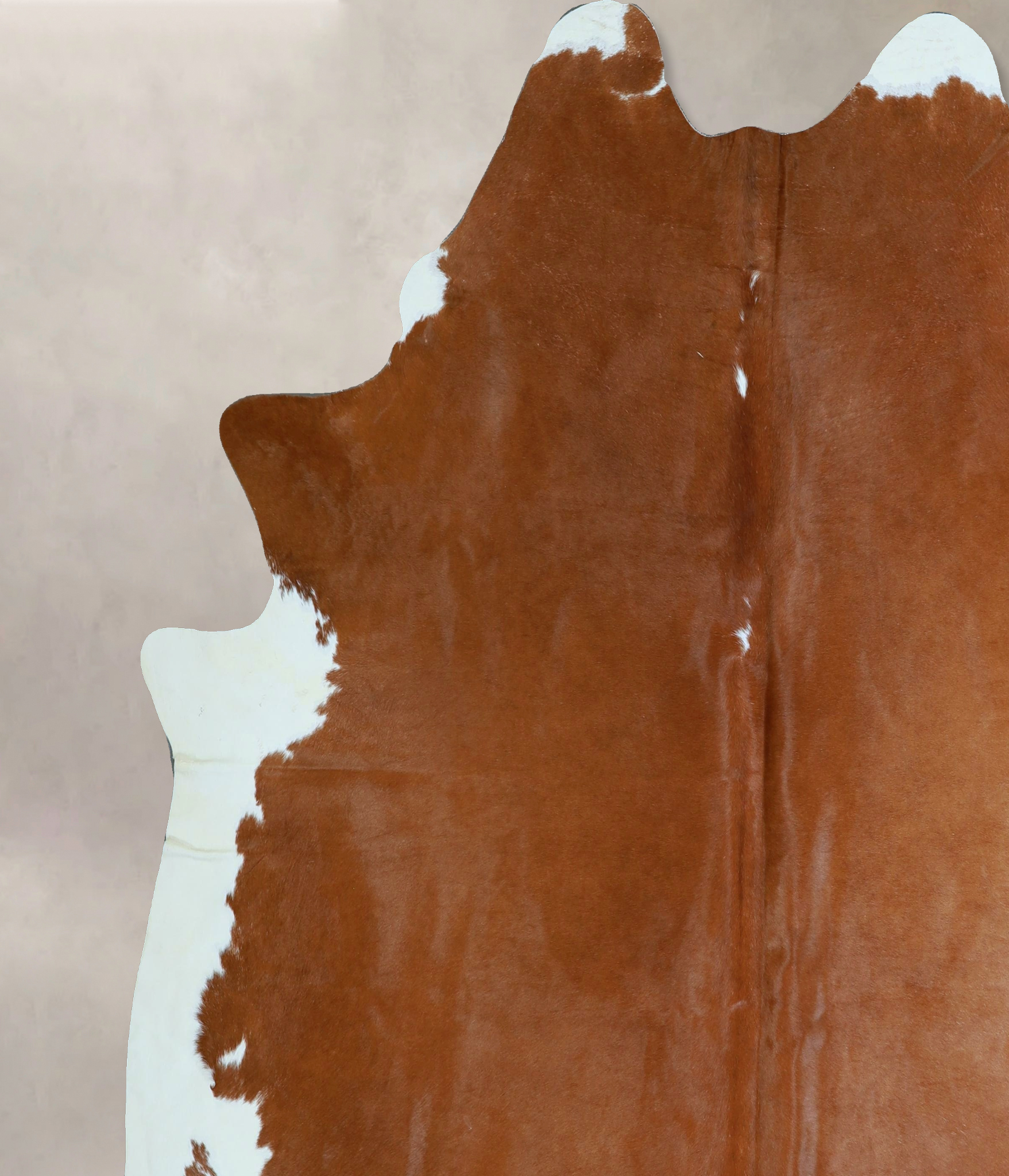 Brown and White Regular Cowhide Rug #A44335