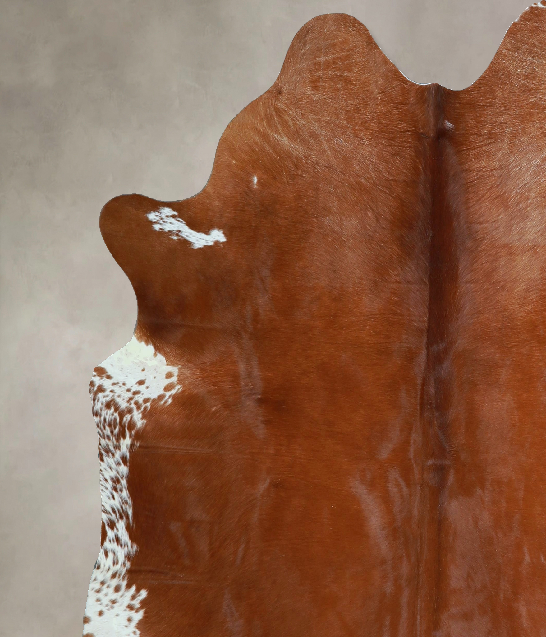 Brown and White Regular Cowhide Rug #A44337