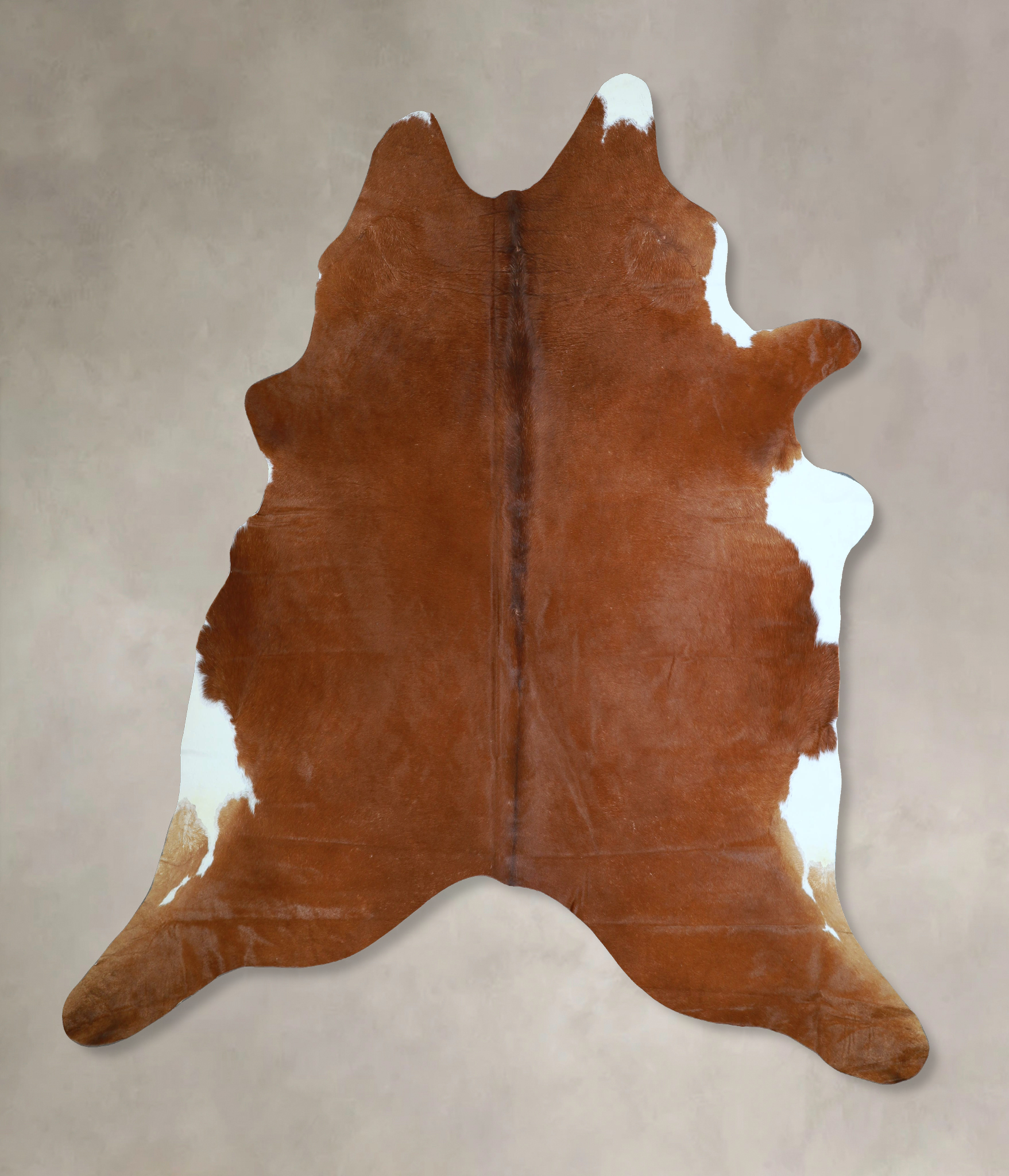 Brown and White Regular Cowhide Rug #A44339
