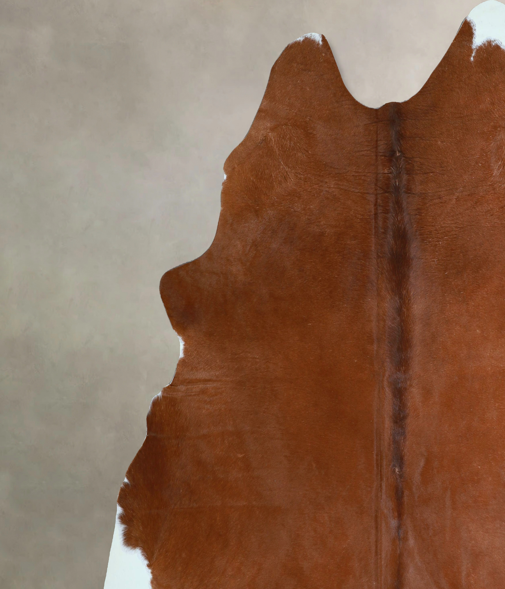 Brown and White Regular Cowhide Rug #A44339