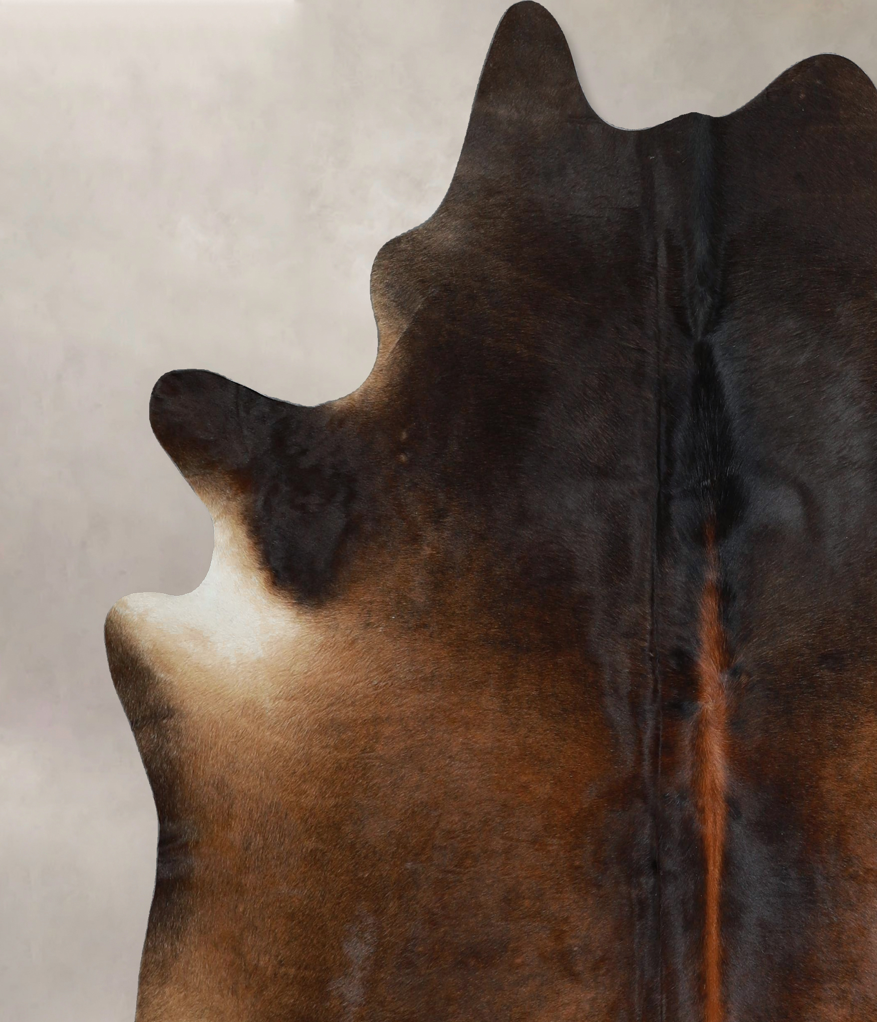 Chocolate Cowhide Rug #A44364