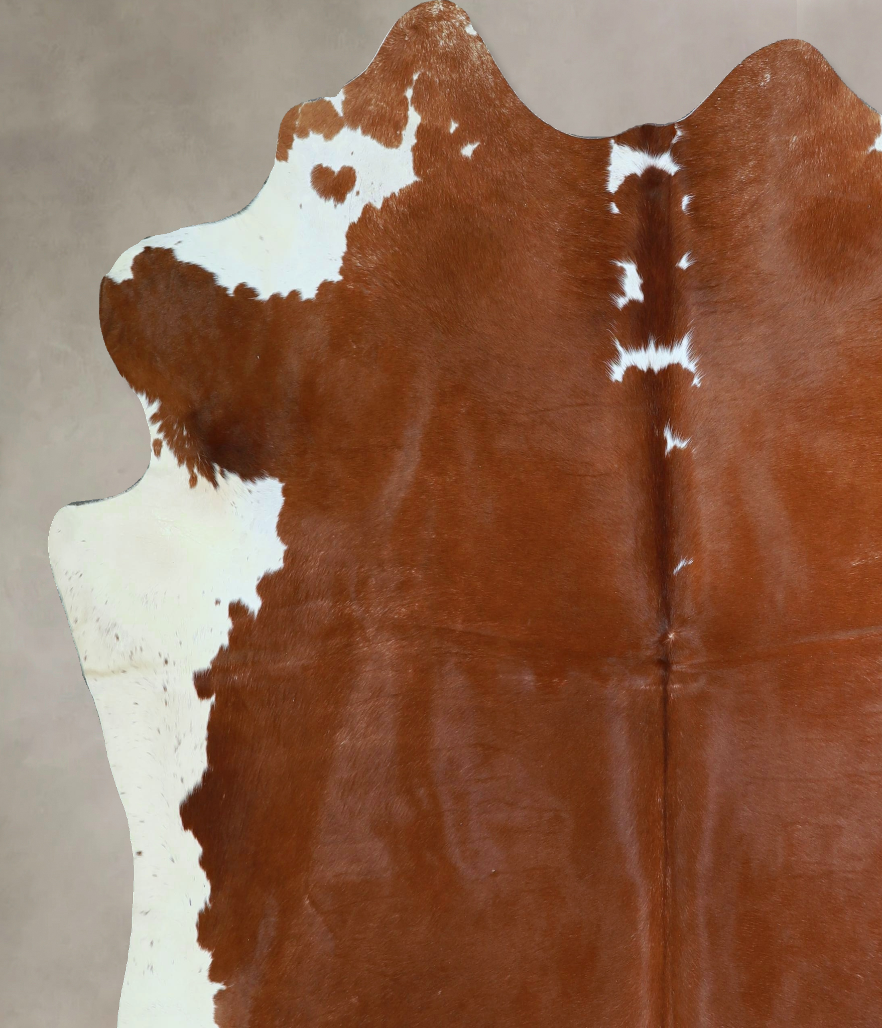 Brown and White Regular Cowhide Rug #A44384