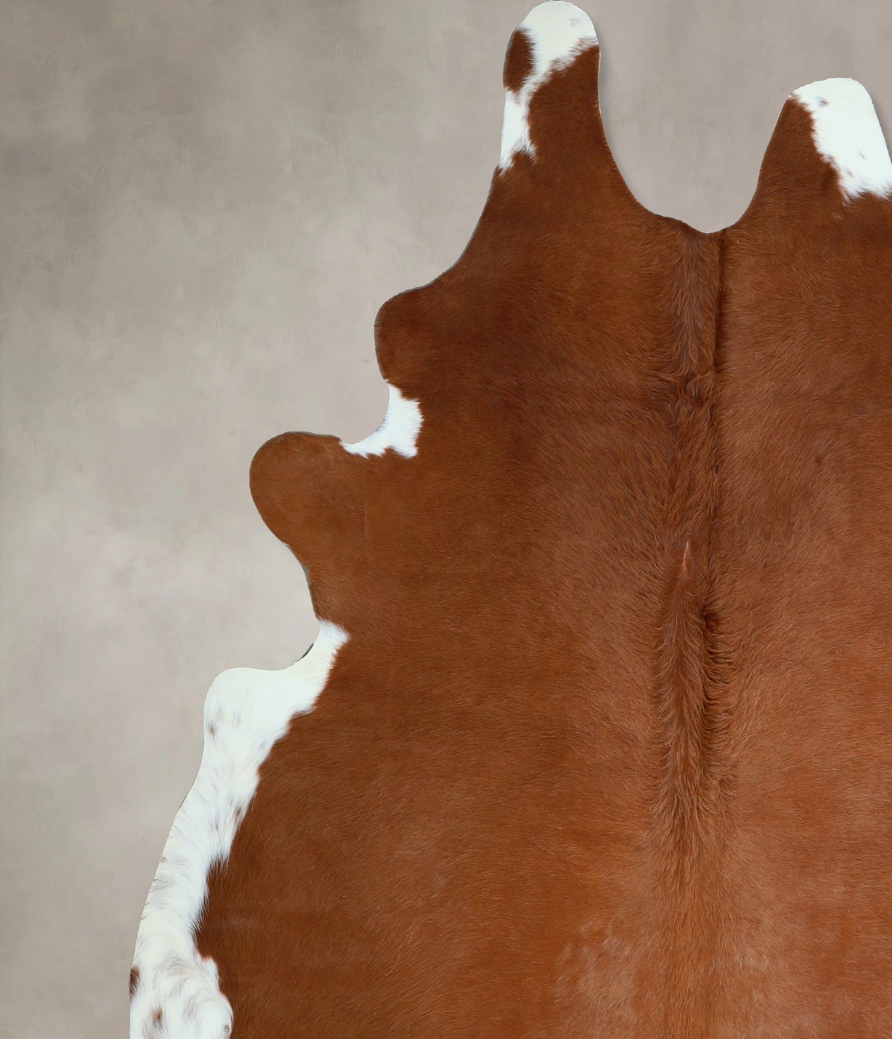 Brown and White Regular Cowhide Rug #A44391
